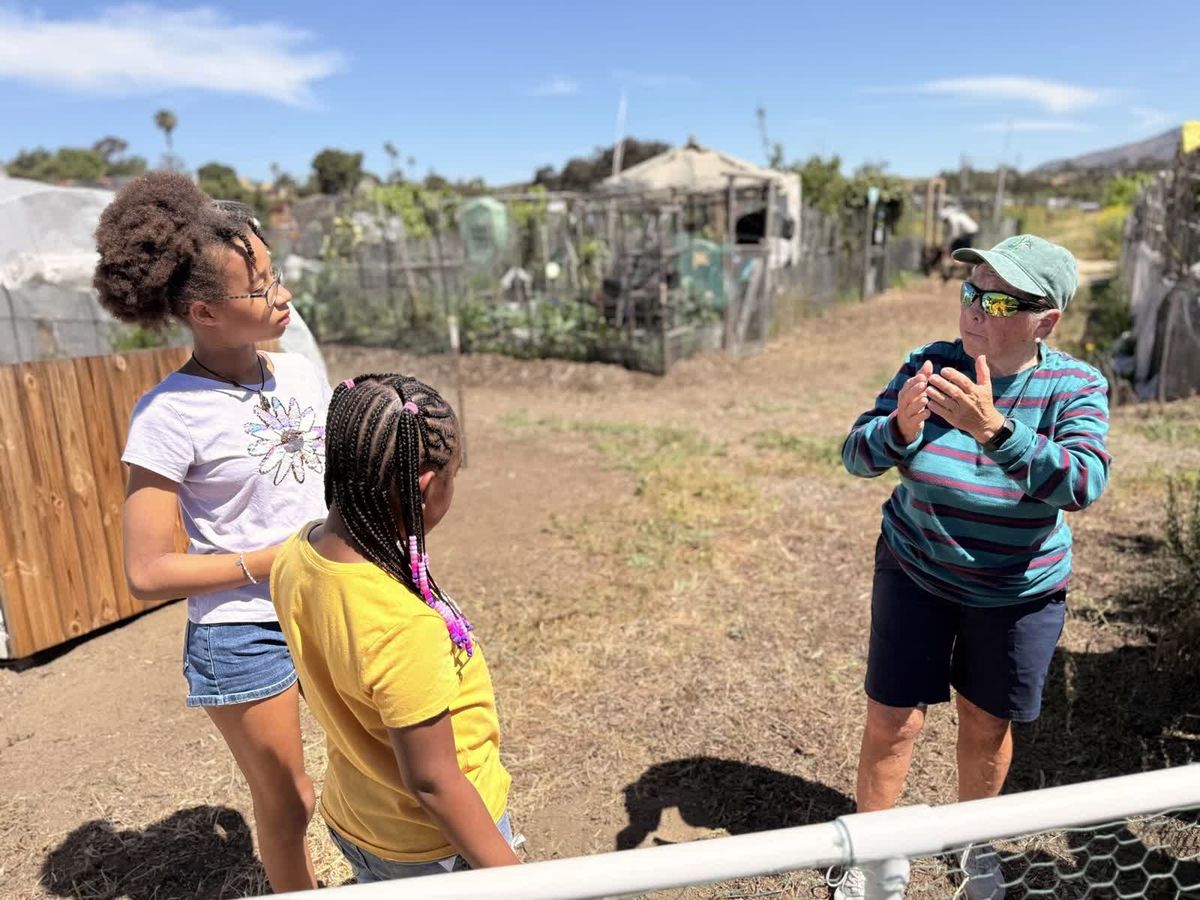 Children and an adult volunteer working together in a community garden plot.